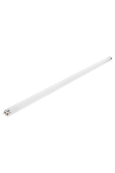Teesa TSA0211 UV-A T8 18W G13 Lampă fluorescentă insecticidă