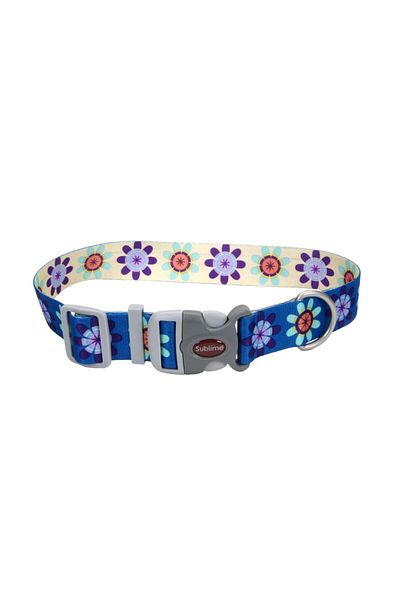 Coastal 1.5in Sublime Dog Collar Flower Purple and Yellow Large