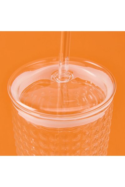 MİEN Glass Cup with Straw - Transparent - 550 ml