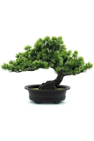 NEXIFY Artificial Bonsai Juniper Tree for Home Office Indoor Showcase Decor (Pine Bonsai)