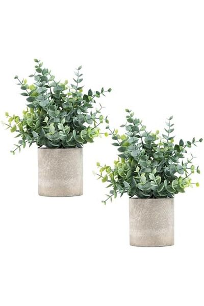 NEXIFY Coferset 2 Pack Small Fake Plants Eucalyptus Potted Artificial Plants for Shelf Desk Home Bathroom F