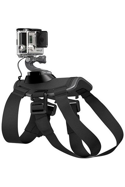 GoPro GoPro Fetch Dog Harness ADOGM-001