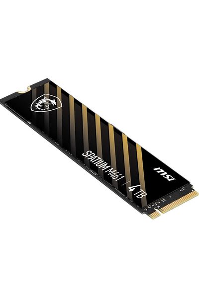 MSI SSD MSI Spatium M461 4TB PCI Express 4.0 x4 NVMe M.2 2280