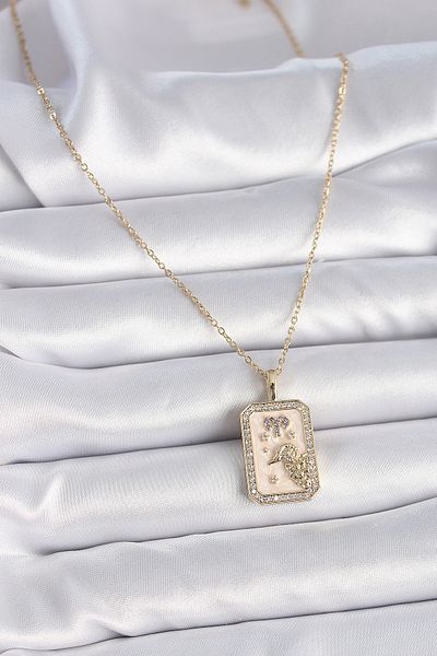Clariss 316l steel gold color chain capricorn zircon stone women's necklace