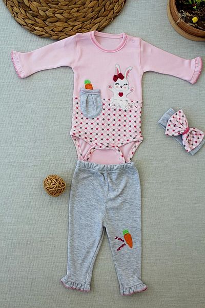 Haye Collection 3,6 9,12 12,18 Months Carrot Rabbit Embroidered Bandana Long Sleeve Bodysuit 3-Piece Baby Girl Suit Pink