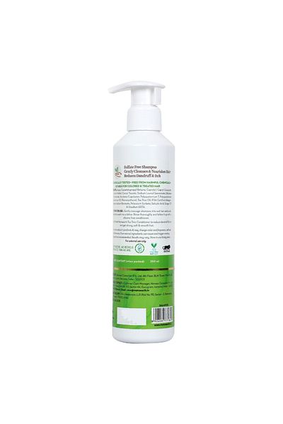 Mamaearth Tea Tree & Ginger Shampoo 250 ml Anti-Dandruff & Scalp Purifying Care for Healthy Hair