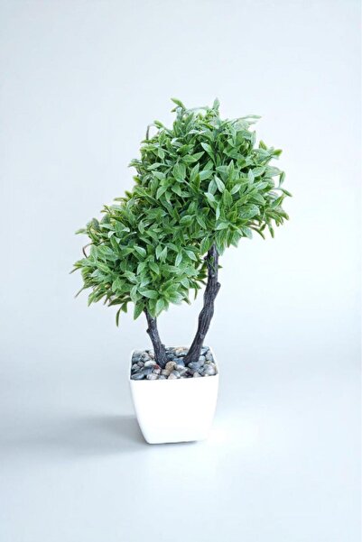 İLİVA 26 Cm Saksılı 2 Dal Yapay Şimşir Ağacı,Yapay Çiçek