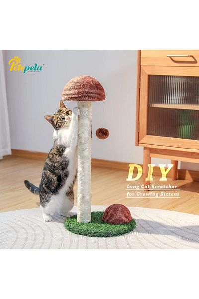 Saharaz Cat Scratching Post,With Scratching Poles and Interactive Toy Ball for Kittens and Small Cats