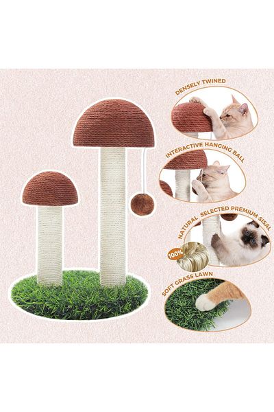 Saharaz Cat Scratching Post,With Scratching Poles and Interactive Toy Ball for Kittens and Small Cats