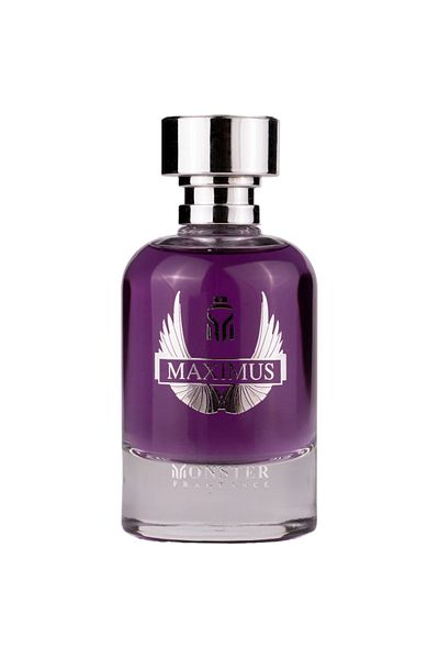 Paris Corner Maximus EDP 100ml