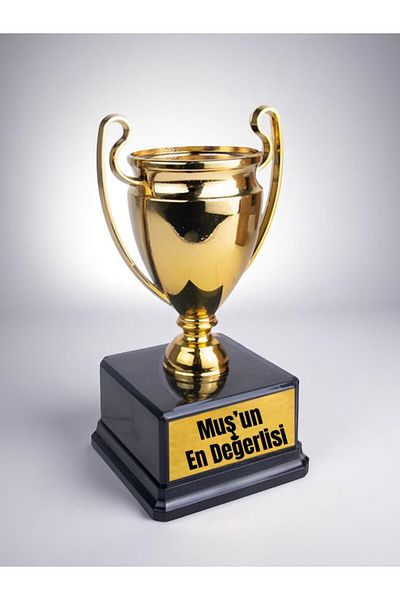 lili hediyelik The Most Valuable Player of Mus Written Award Success Championship Trophy 23 cm Gift for Mus
