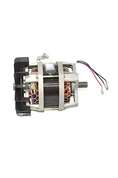 OEM Motor Betonier 125L si 165L, Bobinaj Cupru 700W, 2800 rpm