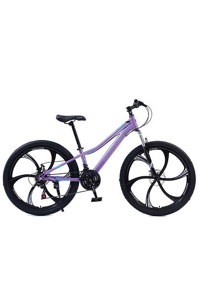 OEM Bicicletă Caraiman, roți de 26 inch, cadru de oțel, frâne cu disc, violet, BC59