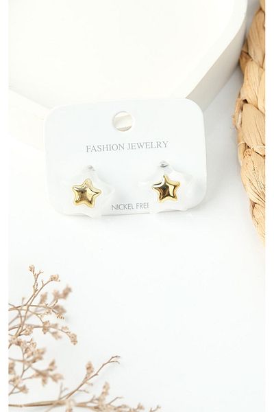 Jack Ferrero Colorful Steel Women's Earrings