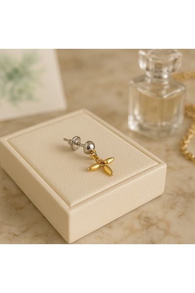 HDCreativeDesign 1 Pair of Star Stainless Steel Earrings