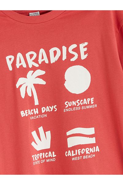 LC Waikiki Red Crew Neck Boy's T-Shirt