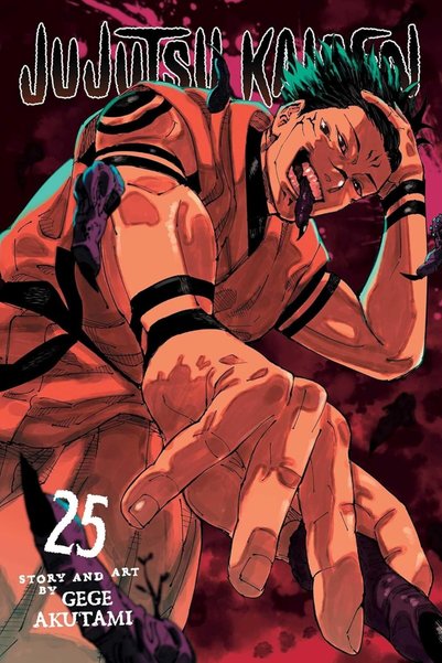 Viz Media Jujutsu Kaisen, Vol. 25 (Volume 25)