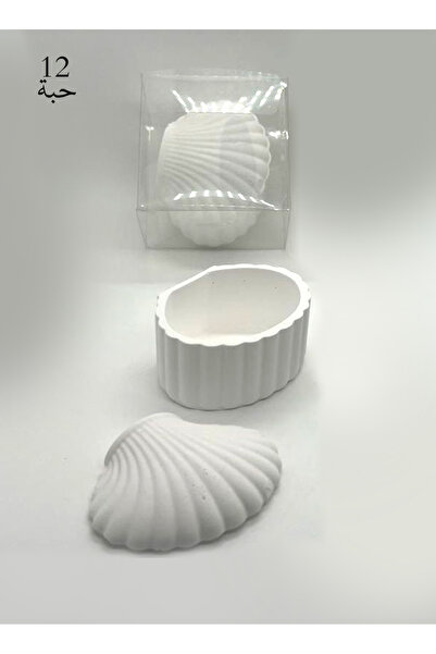 Home Zone صدف ميني فارغة 12 حبة (درزن كامل)