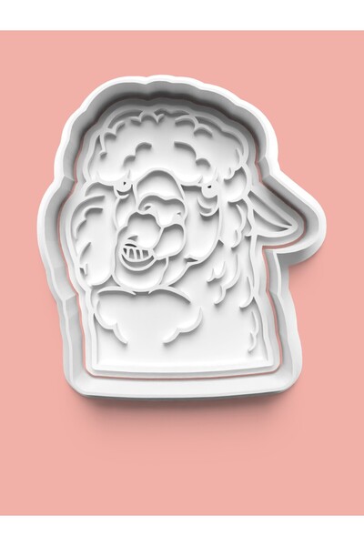 AKTASTORE قالب كوكيز الألبكا وقالب عجينة السكر 0202-1