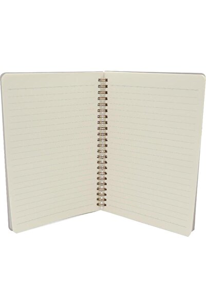 Roco Cat A5 Lined Notebook with 160 Pages (80 Sheets) – Stylish Grey Cover