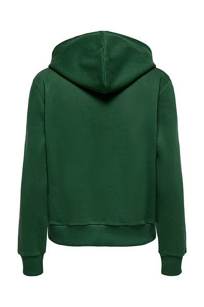 ONLY Kapuzenpullover ONLNOLI Sweatshirt