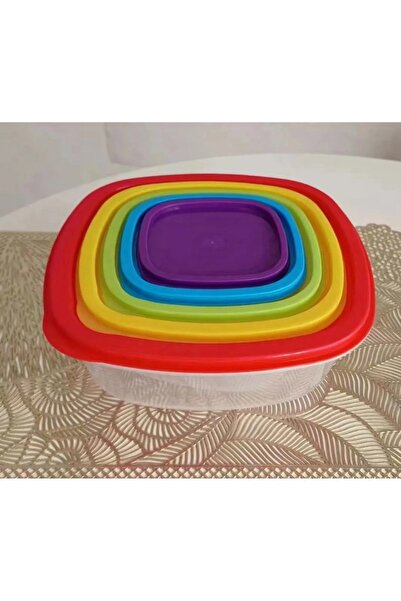 rexa plastic food storage containers with color