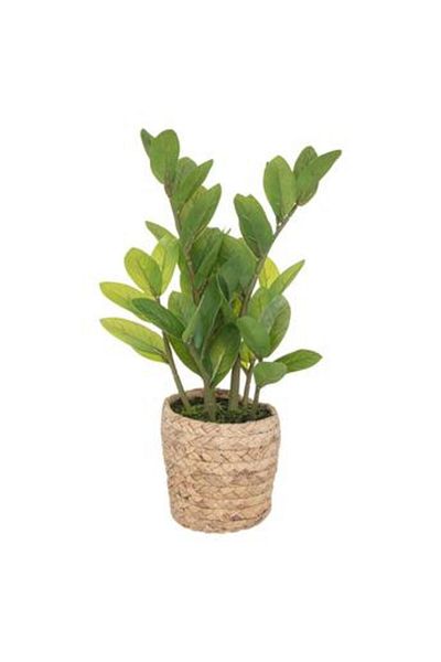Own Artificial Plant W/Pot (25 x 41 cm)