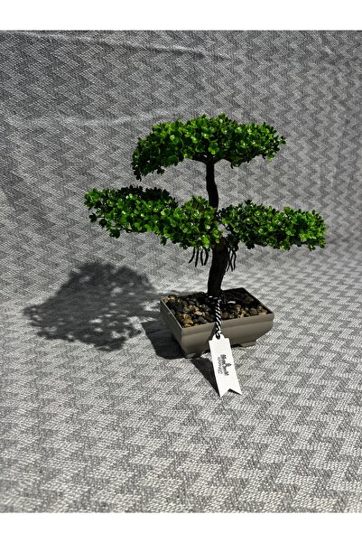 Eva Dekor Arborele bonsai artificial - în ghiveci natural, cu aspect realist, plantă ornamentală de interior (decor pentru casă și birou)