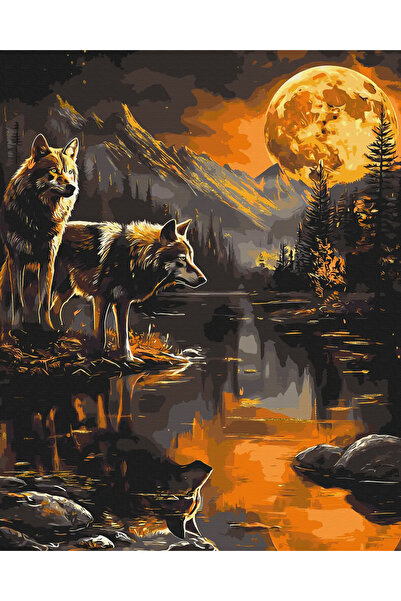 İZSA HOBİ Sayılarla Boyama Hobi Seti 40x50 Çerçeveli Numaralı Tuval Fırça Boy...