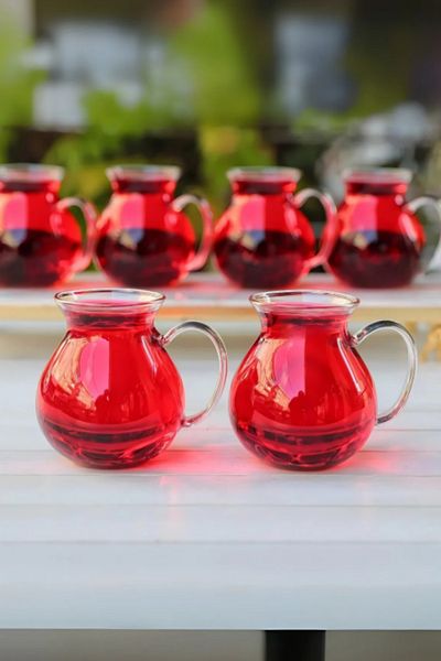 Go İthalat Heat Resistant 6-Piece Borosilicate Glass Cups Set with Handles Modern Tea Cup Set