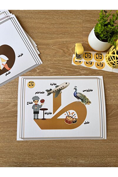 Tâ Harfi – Görselli Arapça Eğitim Posteri – (Kelime ve Görsel) (16,5x24cm) 1 adet