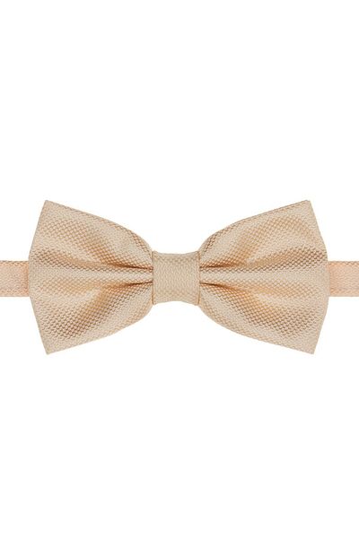 SIRRI Modern and Stylish Large Bow Tie for Men 14 Years and over (6X12 cm)