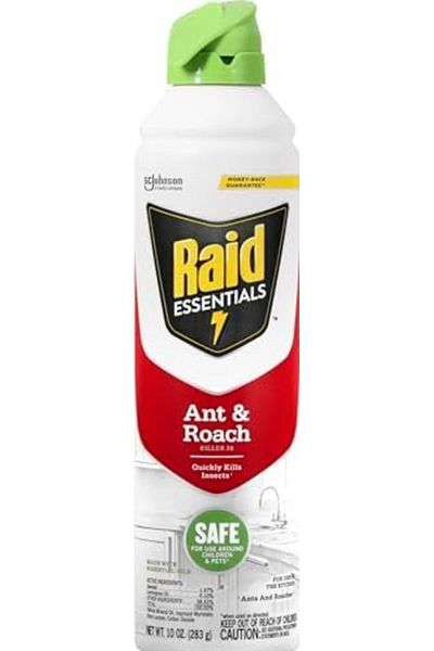Raid بخاخ إيروسول للقضاء على النمل والصراصير من Essentials، آمن للأطفال والحيوانات الأليفة، يقضي على الحشرات بسرعة، للاستخدام الداخلي والخارجي.