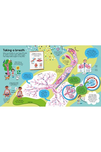 Usborne Big Book of the Body