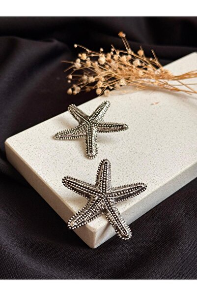 SHELA ZR موديل حلق نجمة فضية 604