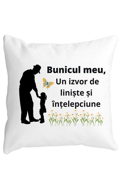 BEKZ Față de pernă pentru bunicul 5, 40x40 cm, alb, mat