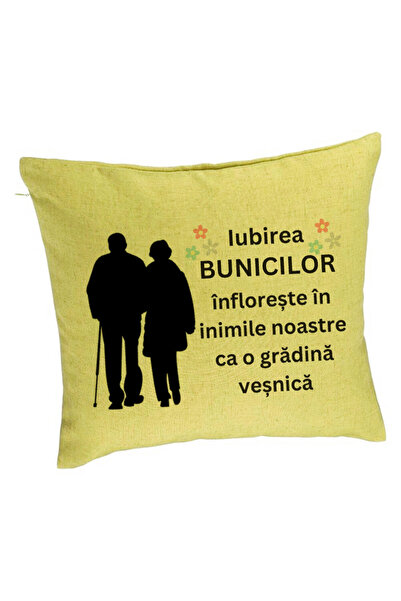 BEKZ Față de pernă pentru bunici 1, 40x40 cm, verde
