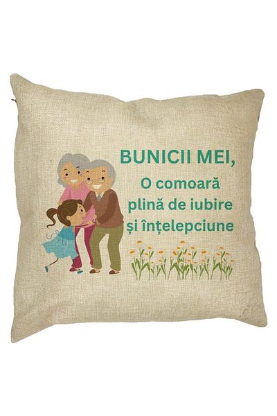 BEKZ Față de pernă pentru bunici 3, 40x40 cm