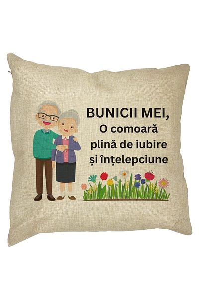 BEKZ Perna Decorativa pentru Bunici 4, 40x40 cm, Husa Detasabila, Burduf