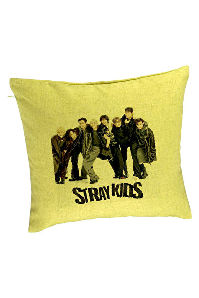 BEKZ Διακοσμητικό Μαξιλάρι, Stray Kids 6, 40×40 cm, Πράσινο, Αφαιρούμενο Κάλυ...