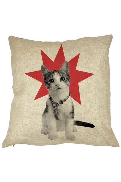 BEKZ Față de pernă pătrată Super Cat, 40x40 cm