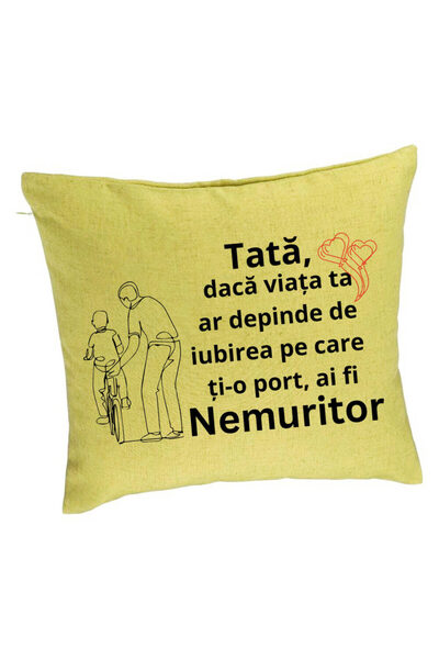 BEKZ Față de pernă, model pentru Tata 9, 40x40 cm, verde