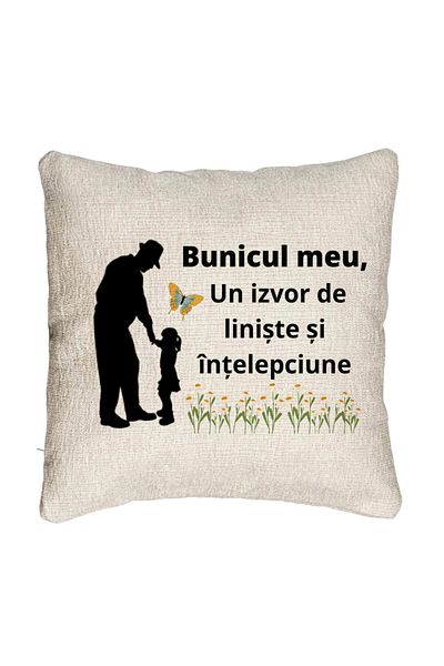 BEKZ Fata de perna Canapea pentru Bunicul 5, 40x40 cm, Cu fermoar