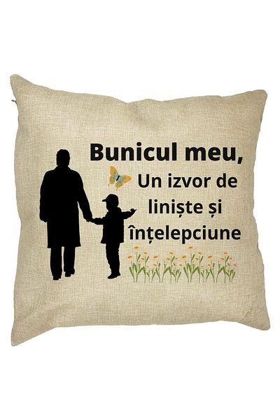 BEKZ Perna Decorativa pentru Bunicul 6, 40x40 cm, Husa Detasabila, Burduf