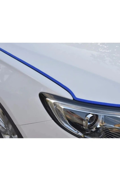 YİĞİT SHOPİNG Mini Cooper Oto Araç Kapı Koruma Fitili 5metre Mavi Renk Çarpma...