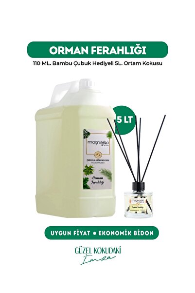 Magnesia Kozmetik Pure Touches Magnesia Orman Ferahlığı Çubuklu Oda kokusu 5L...