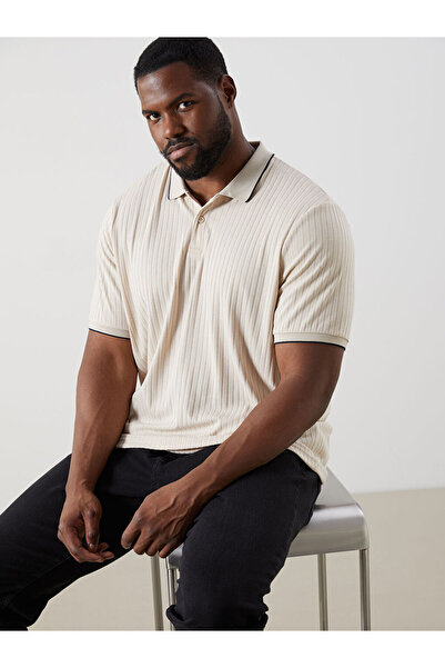 LC Waikiki Beige Plus Size Polo Neck Men's T-Shirt
