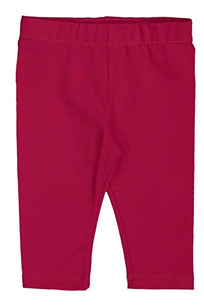 Divonette Baby Girl Cotton Set of 2 Fuchsia and Black Tights