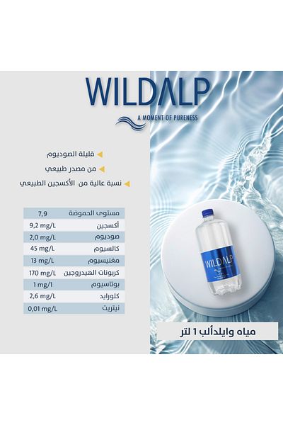 WILDALP Wild Alp Water Carton 1*6*1000 ml (Choose Nature)