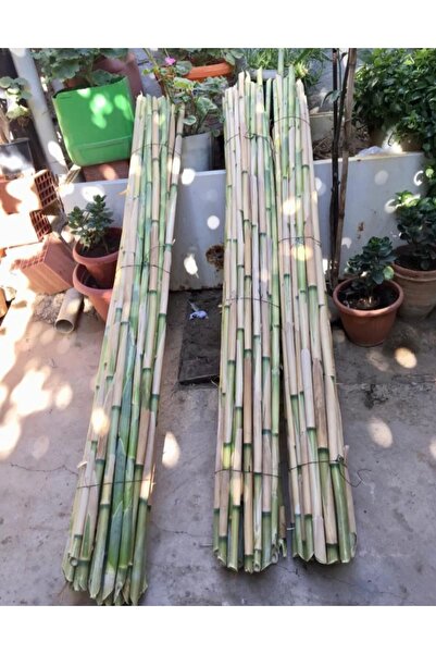 Alanya Fidan Bitki Destek Çubuğu 20 Adet 175 Cm Domates Fasulye Salatalık İçin Uygun Bambu Kargı Kamış